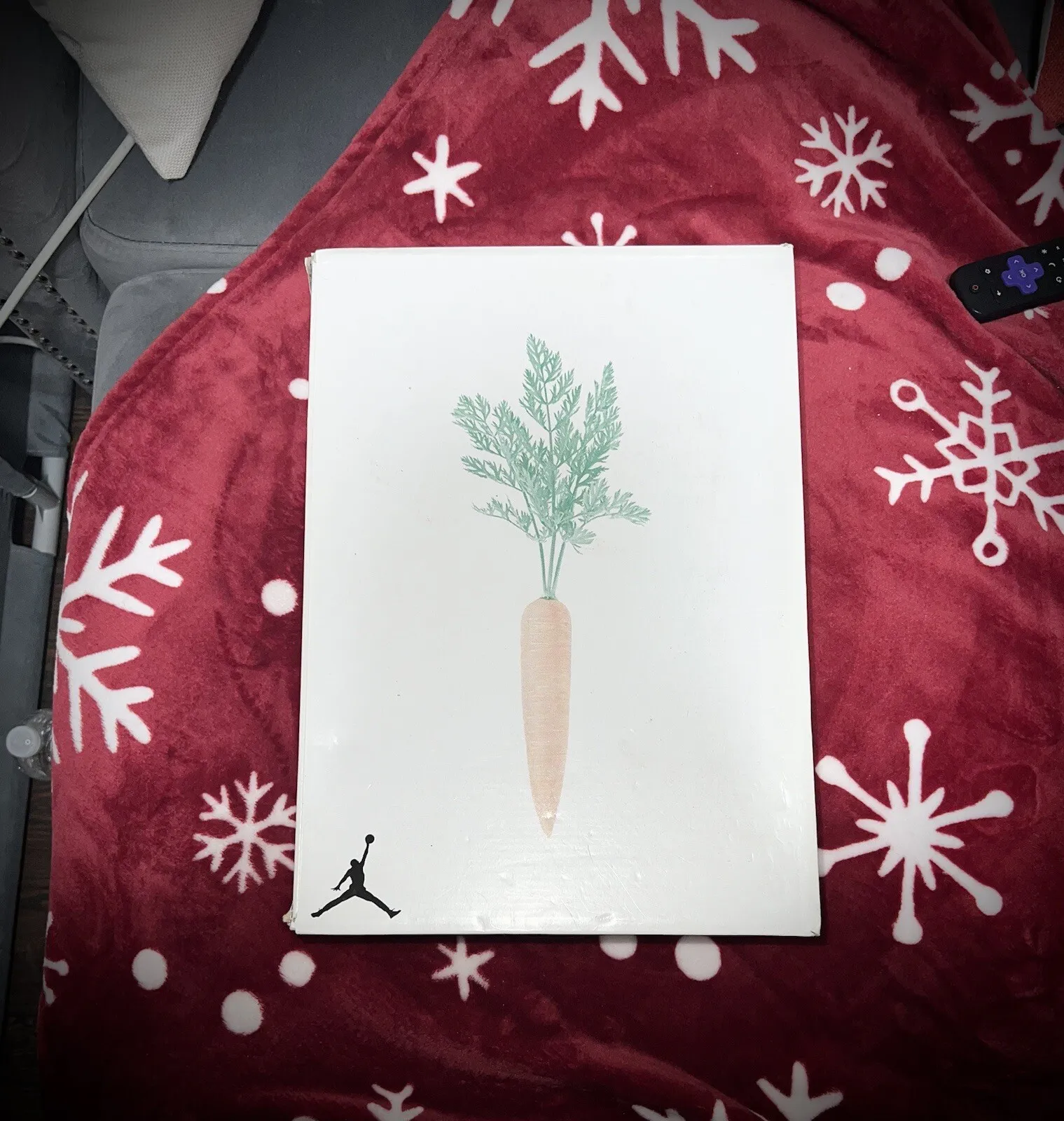Q4 Air Jordan 6 Retro Hare Neutral Grey review 1