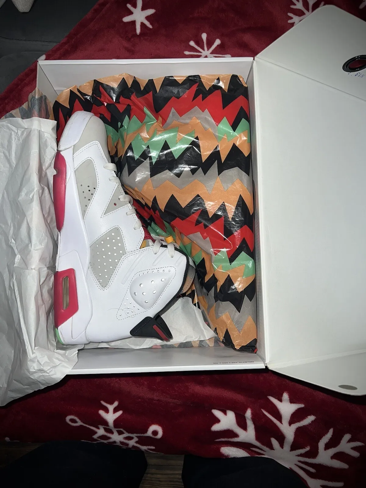 Q4 Air Jordan 6 Retro Hare Neutral Grey review 2