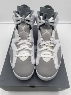 Q4 Air Jordan 6 Cool Grey review Hoberman 03