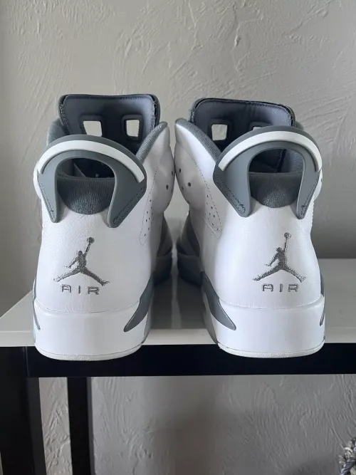 Q4 Air Jordan 6 Cool Grey review 