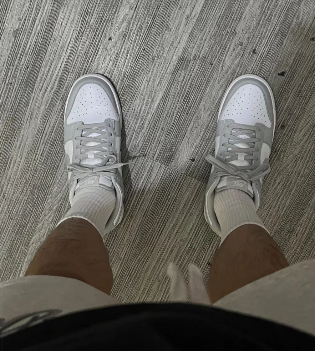 Nike Dunk Low Photon Dust review 0