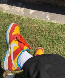 Nike SB Dunk Low Bart Simpson review Campbell