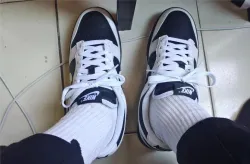 Nike Dunk Low Reverse Panda review Keari