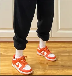 Nike Dunk Low SP Orange Blaze review Jamie