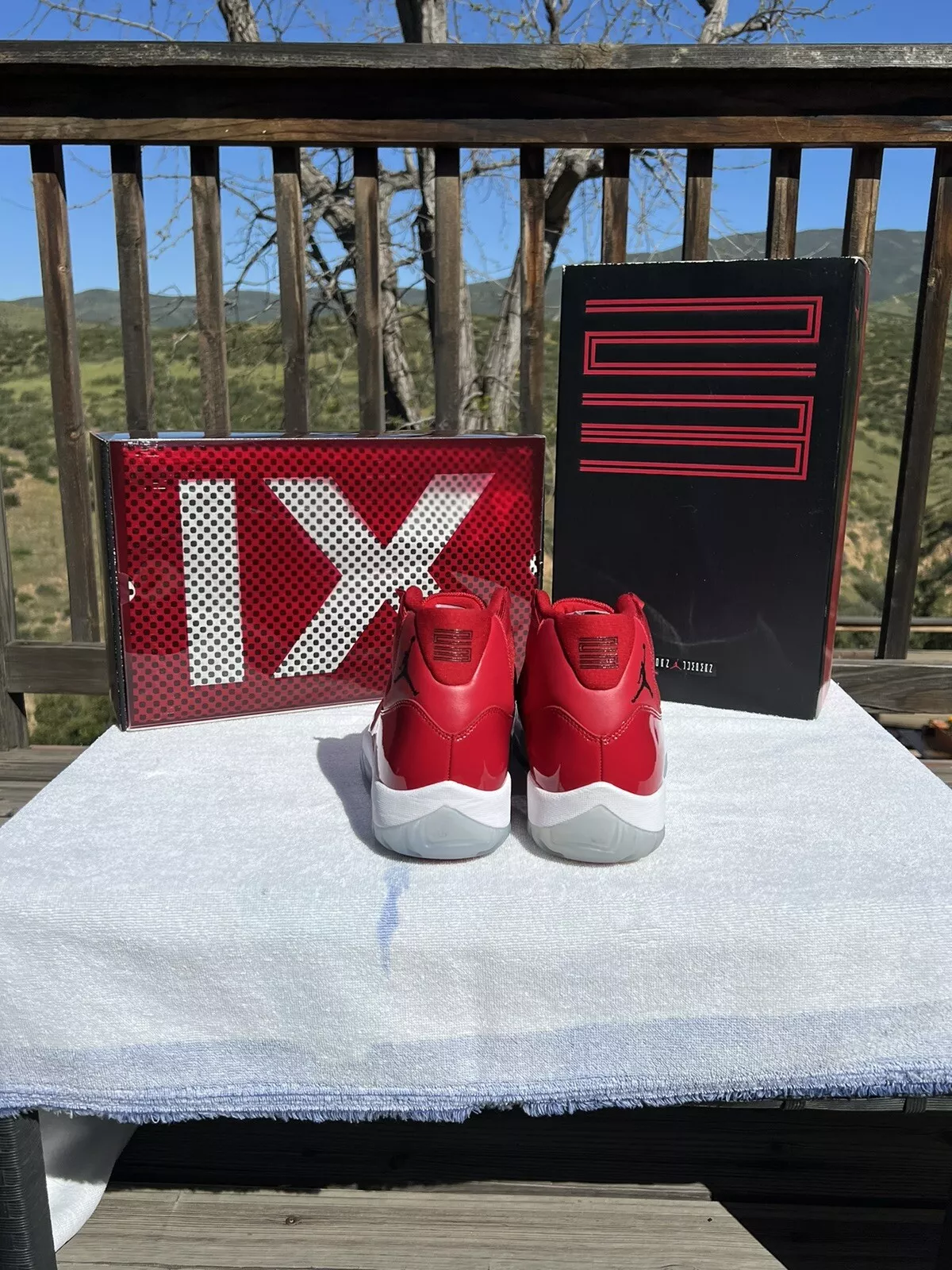 XP Air Jordan 11 Retro Win Like 96 review S. Clemons 01