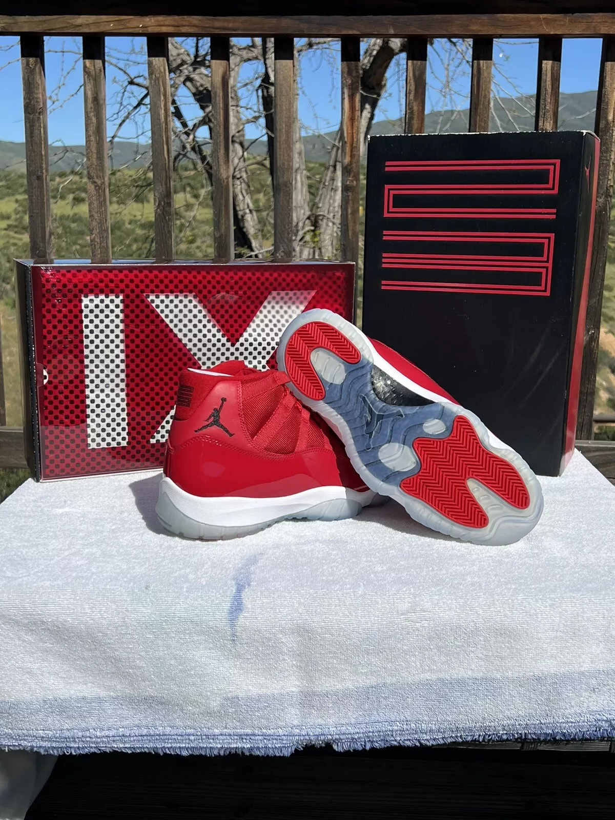 XP Air Jordan 11 Retro Win Like 96 review S. Clemons 02