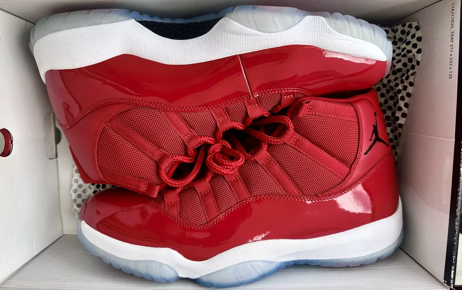 XP Air Jordan 11 Retro Win Like 96 review Torin 01