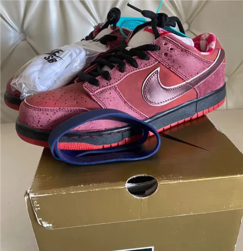SX Concepts x Nike SB Dunk Low