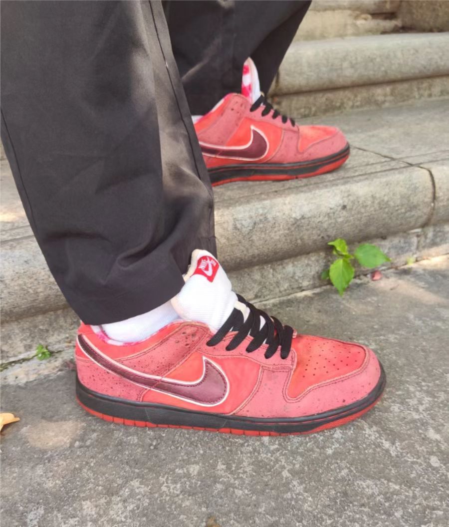 SX Concepts x Nike SB Dunk Low"Red Lobster" review tomer