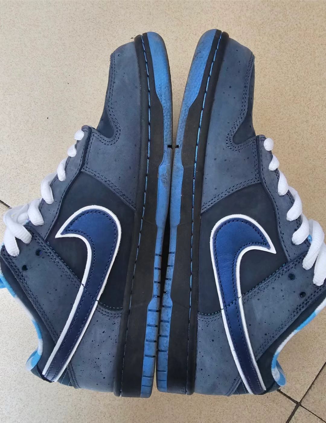 SX Nike SB Dunk Low Blue Lobster review Rori