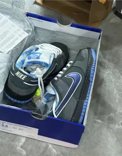 SX Nike SB Dunk Low Blue Lobster review Marie