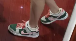 SX Nike Dunk Low “All Petals United” review palacios