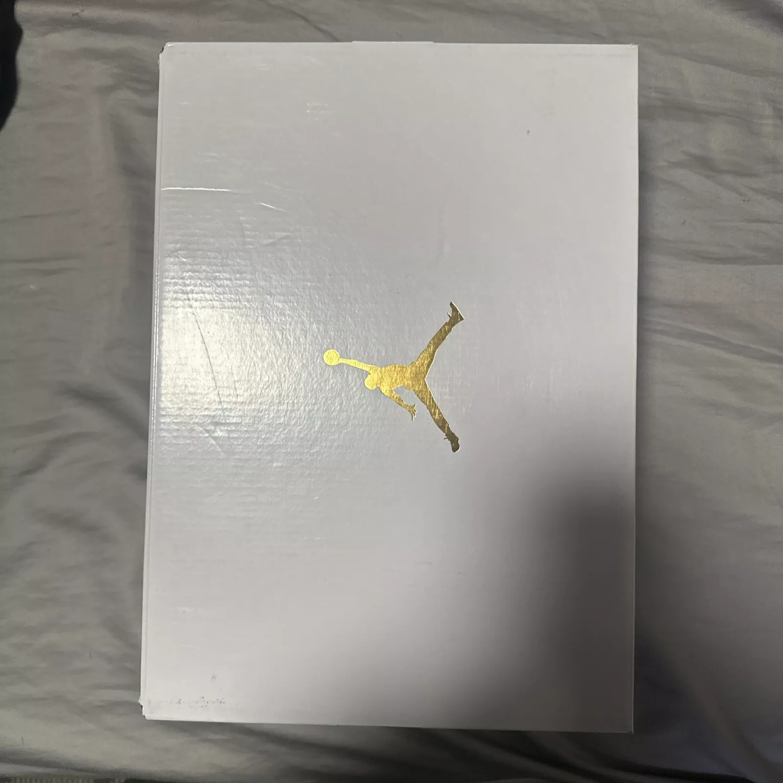 XH Air Jordan 11 Low Pure Violet review Carnegie girl 01