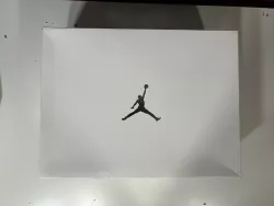 Q3 Air Jordan 11 Retro Metallic Silver Vast Grey review Kristine 01