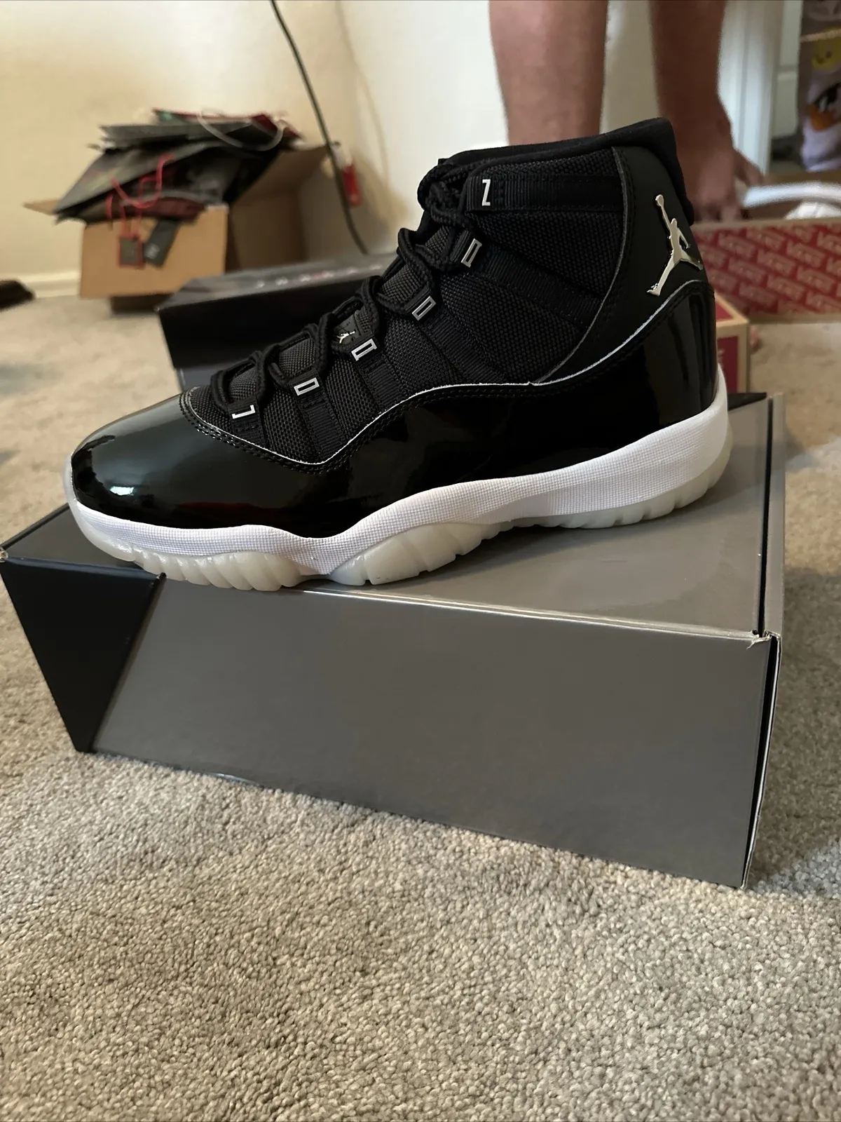 Q3 Air Jordan 11 Retro 25th Anniversary review Jesse Smith 01