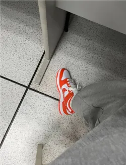 LF Nike Dunk Low Orange Paisley review Holly S.