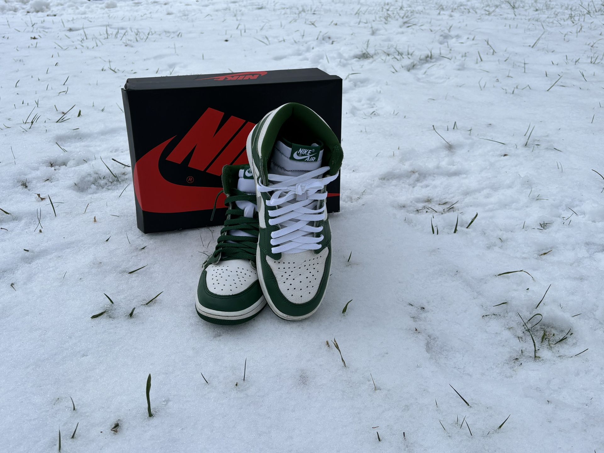 XH Air Jordan 1 High Gorge Green review Omar 04