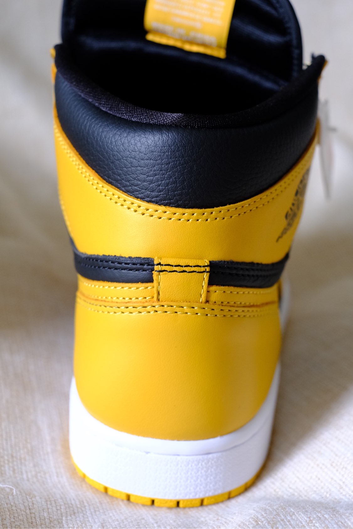 XH Air Jordan 1 High OG Pollen review David 01