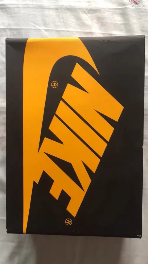 XH Air Jordan 1 High OG Pollen review 