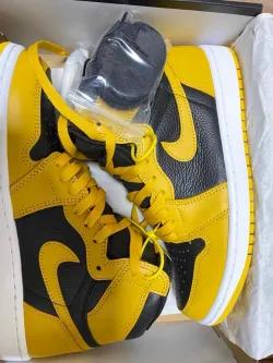 XH Air Jordan 1 High OG Pollen review Mia 02