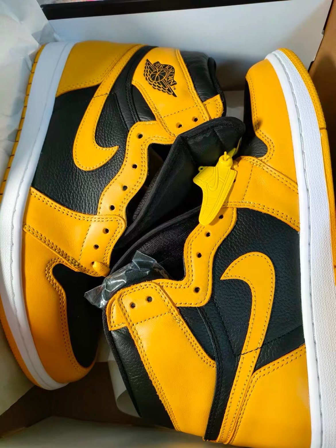 XH Air Jordan 1 High OG Pollen review Mia 03