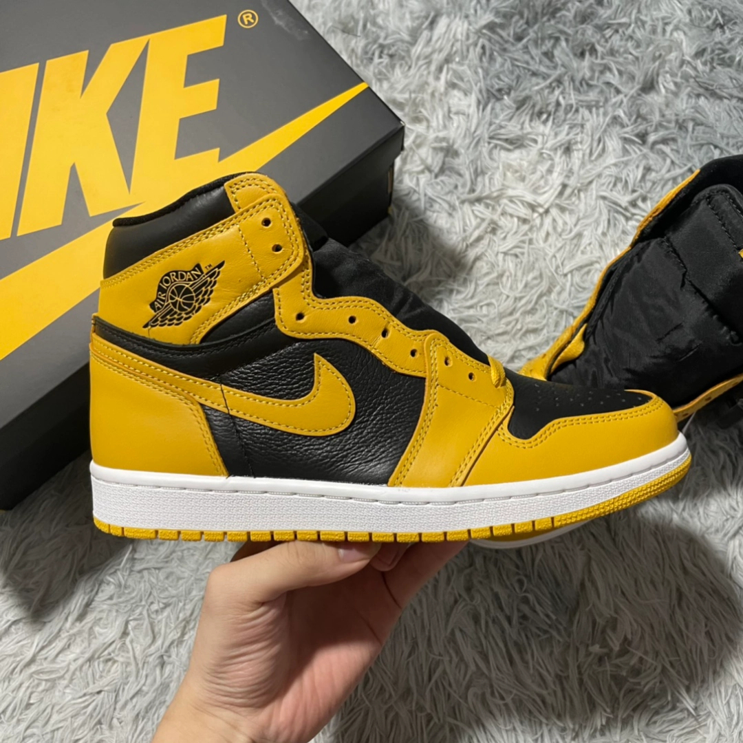 XH Air Jordan 1 High OG Pollen review William 02