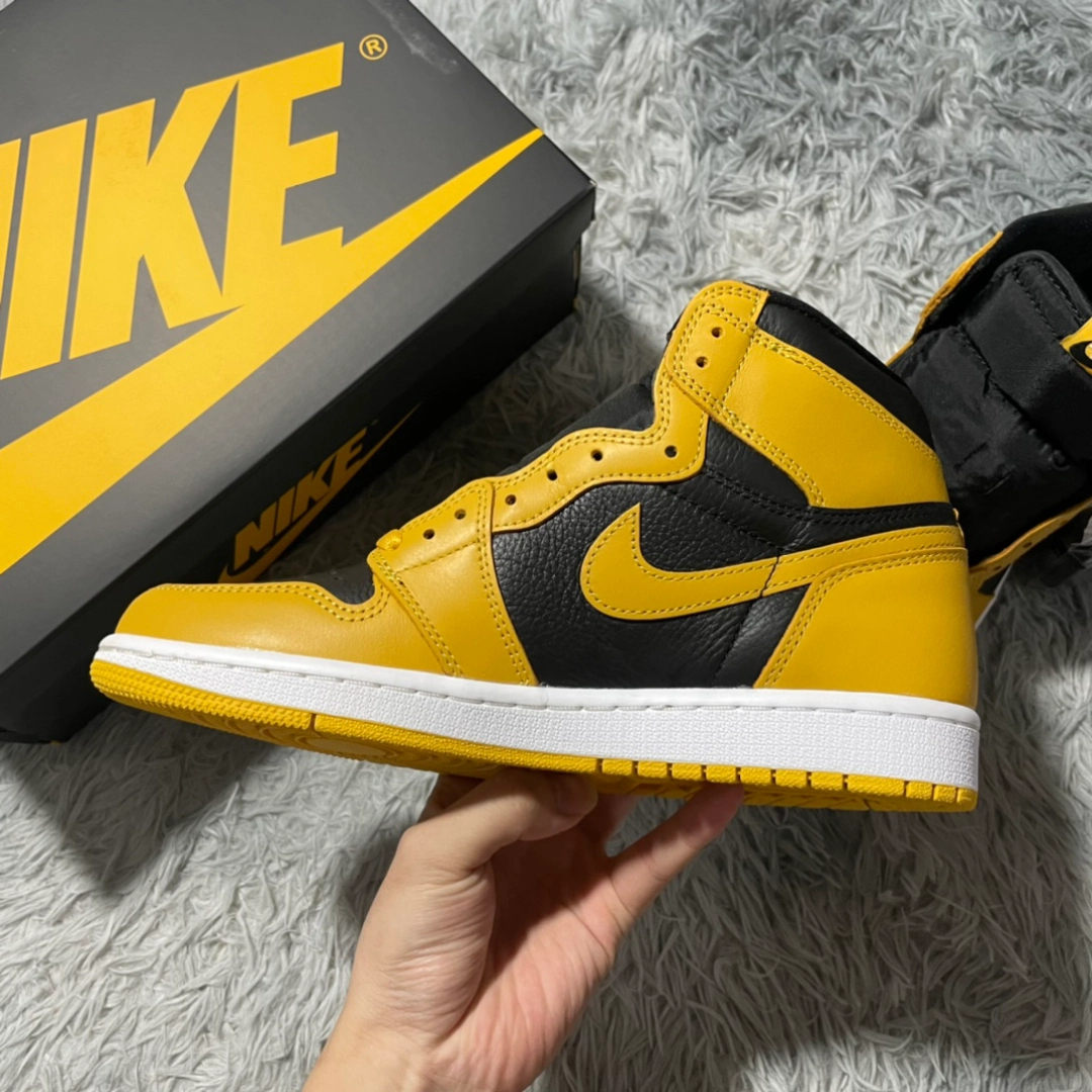 XH Air Jordan 1 High OG Pollen review William 04
