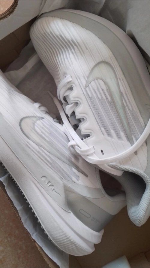 Nike Air Winflo 9 White Metallic Silver review 