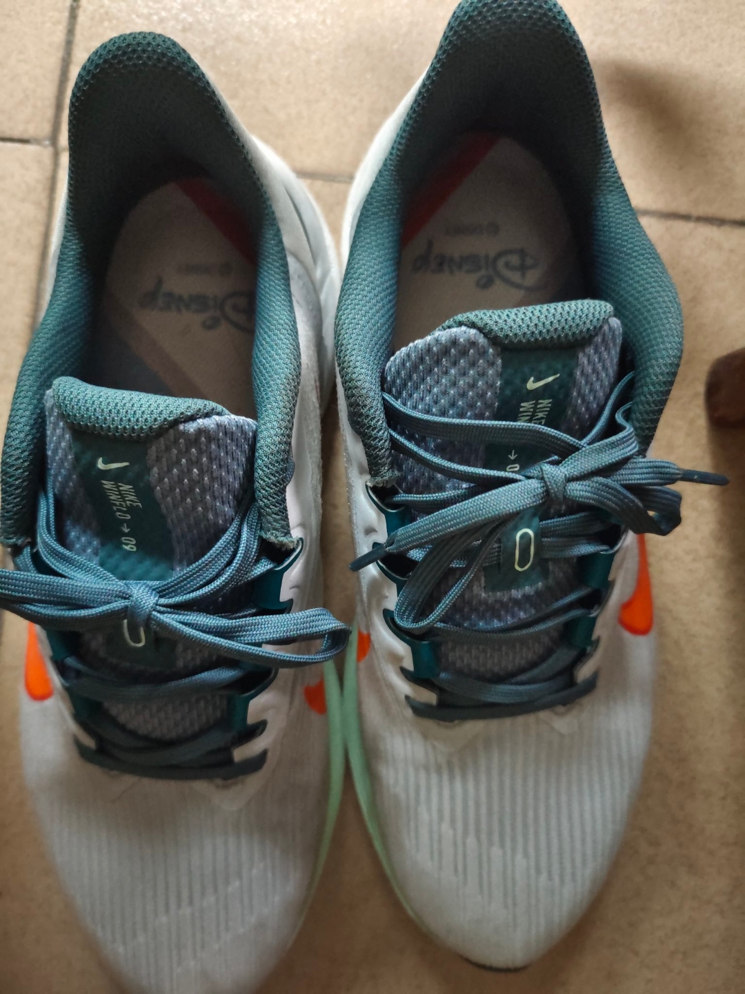 Nike Air Winflo 9 Pure Platinum Mineral review Aiden 01