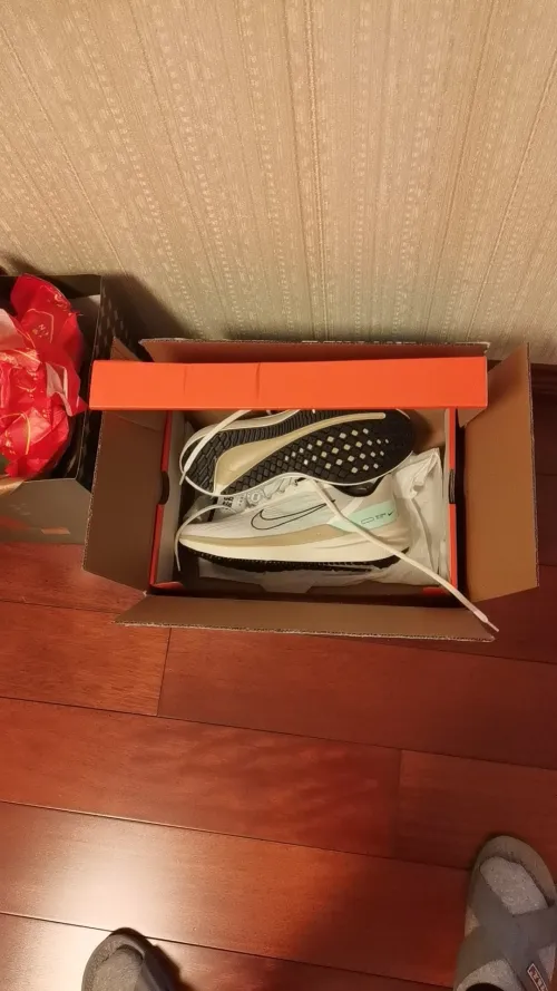 Nike Air Winflo 9 Light Grey Beige Light Green review 