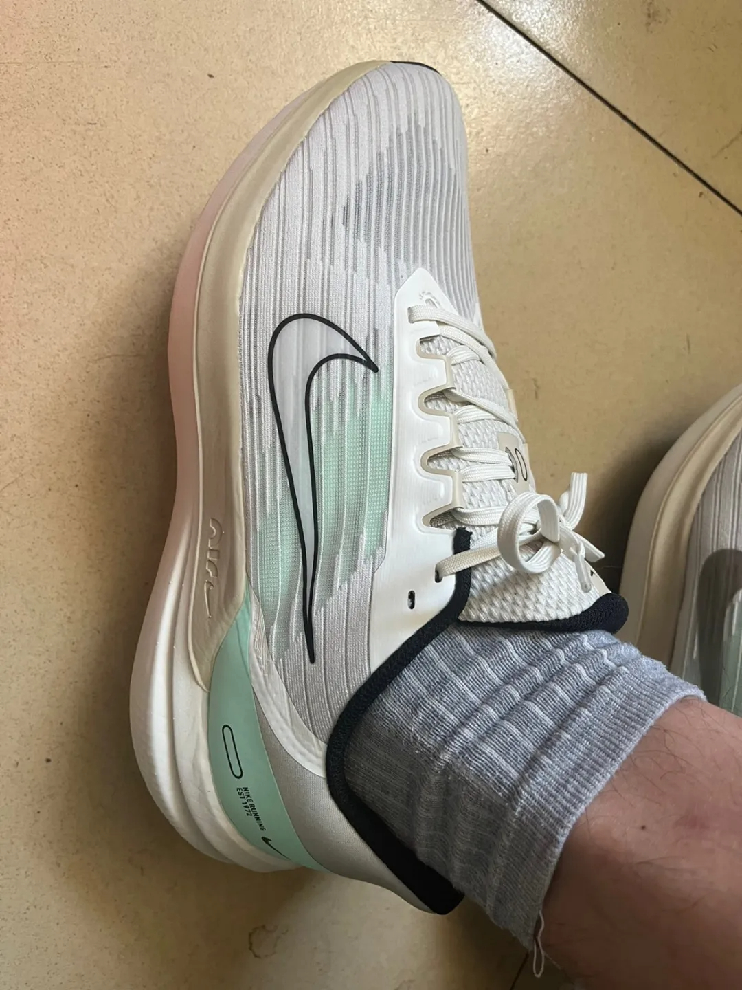 Nike Air Winflo 9 Light Grey Beige Light Green review Olivia