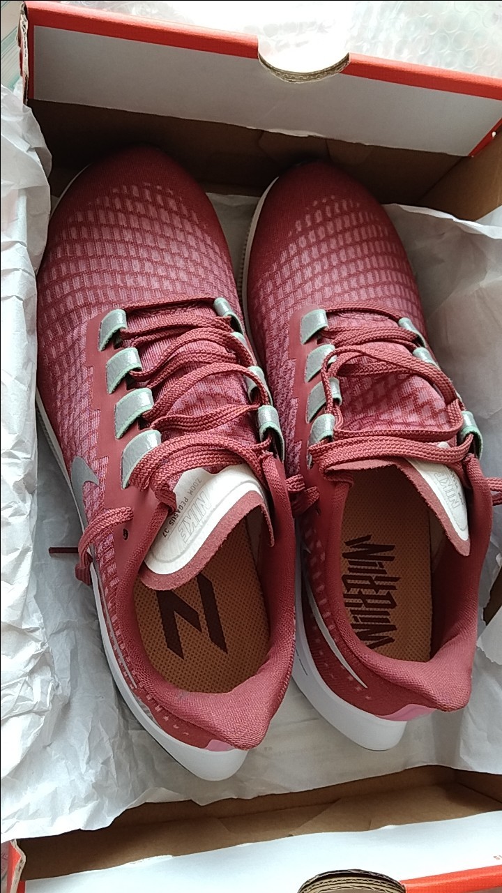 Nike AIR ZOOM PEGASUS 37 Red Grey review Eric