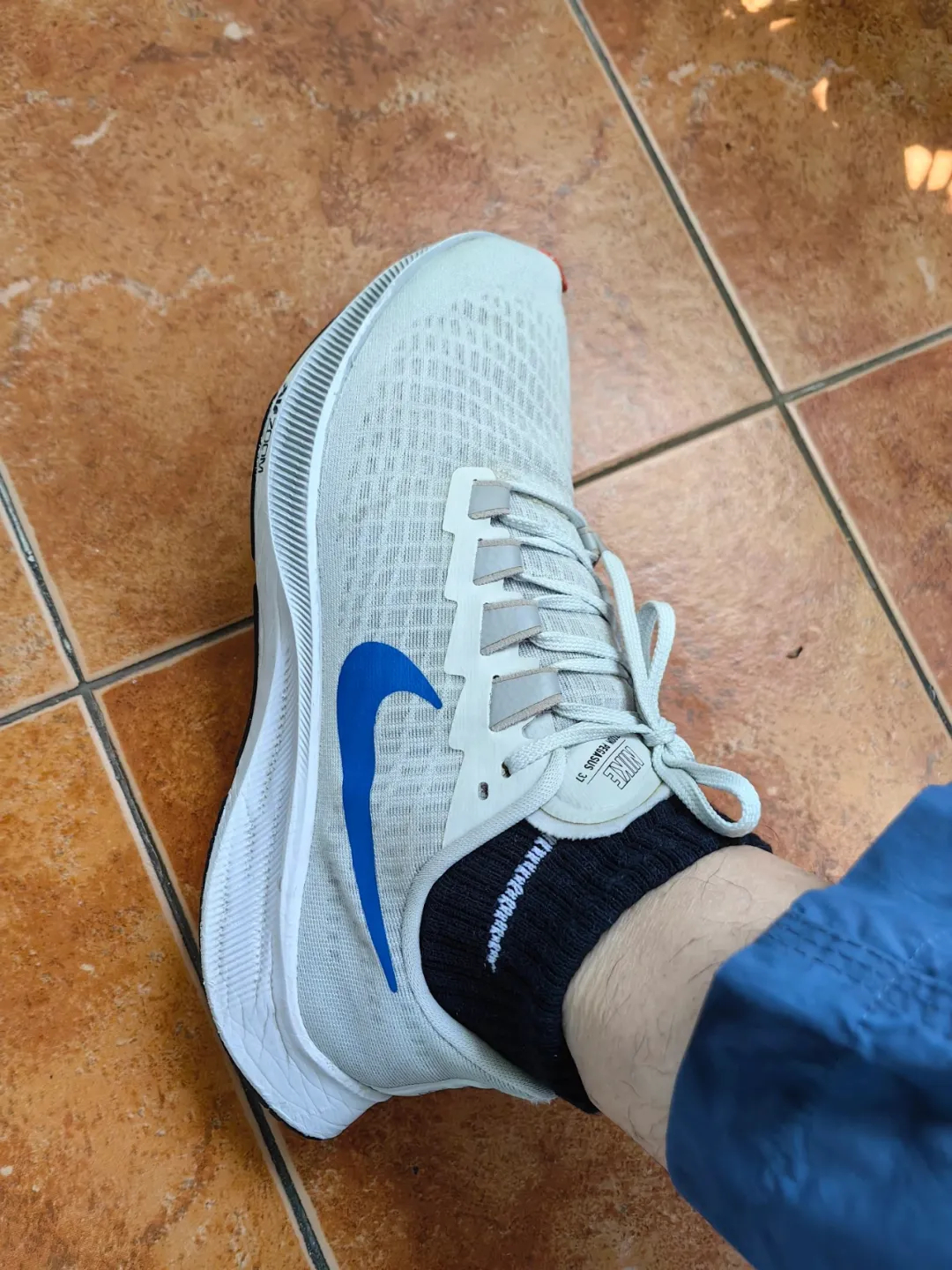 Nike AIR ZOOM PEGASUS 37 Grey Blue Red Mandarin Duck review Katie 02