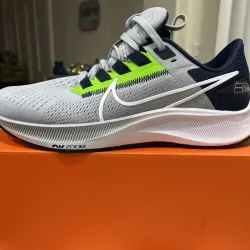 Nike AIR ZOOM PEGASUS 38 Grayish Blue review Brian