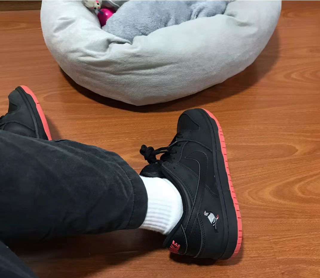 GB Nike Dunk SB Low “Pigeon” review Tanesha