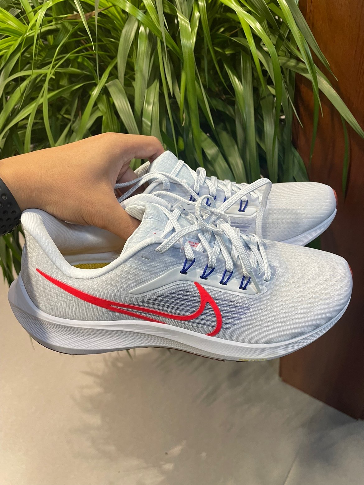 Nike Air Zoom Pegasus 39 Grey Bright Crimson review Amanda