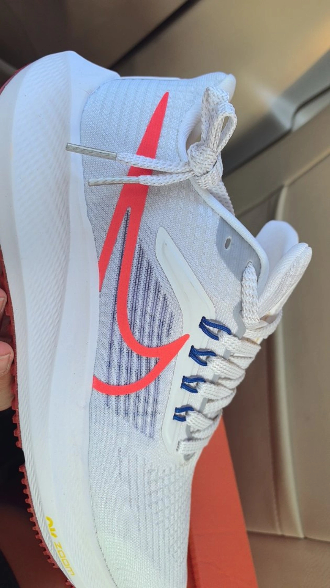 Nike Air Zoom Pegasus 39 Grey Bright Crimson review Adam