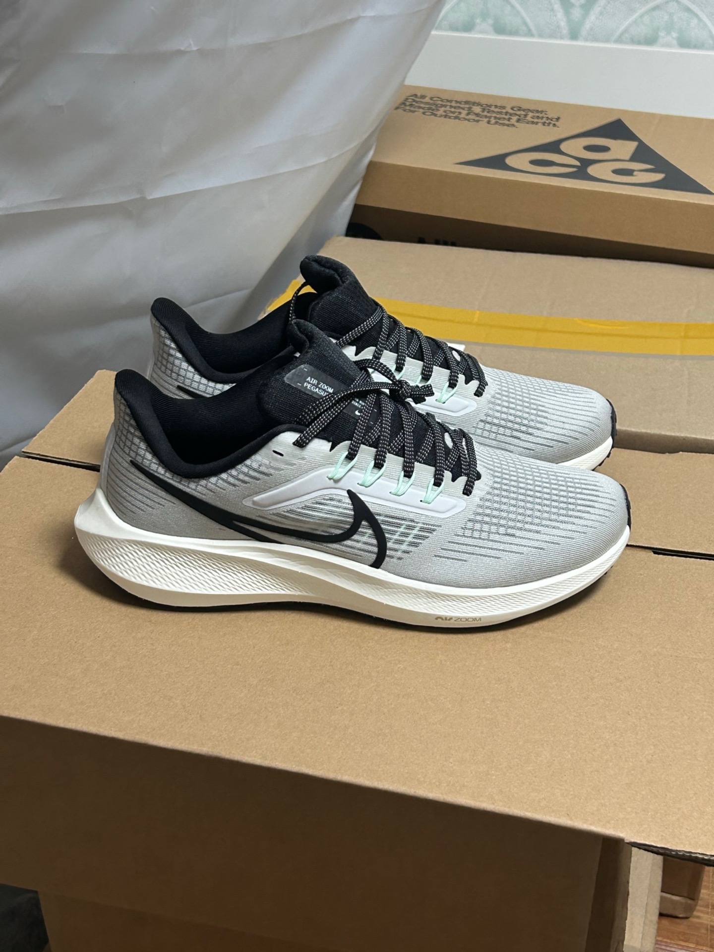 Nike Air Zoom Pegasus 39 Phantom Sail review Natalie
