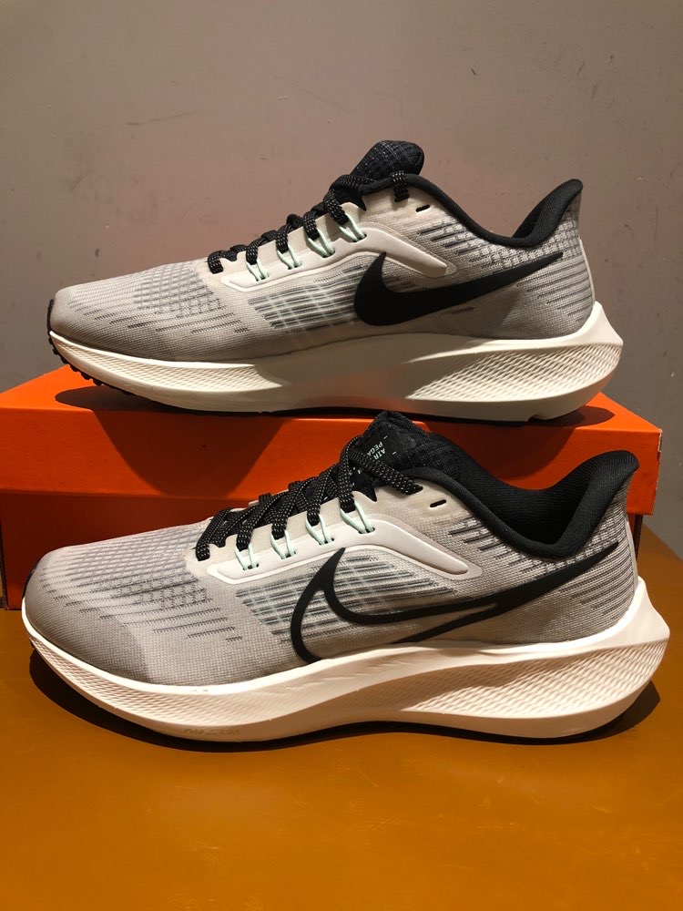 Nike Air Zoom Pegasus 39 Phantom Sail review Ashley 03