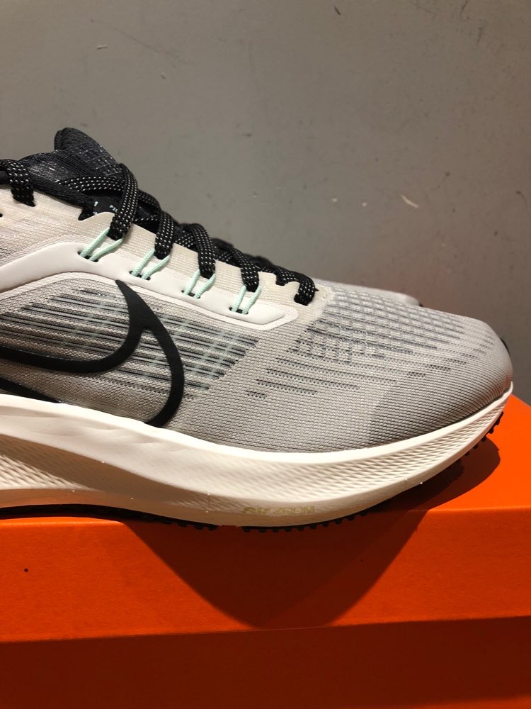 Nike Air Zoom Pegasus 39 Phantom Sail review Ashley 01