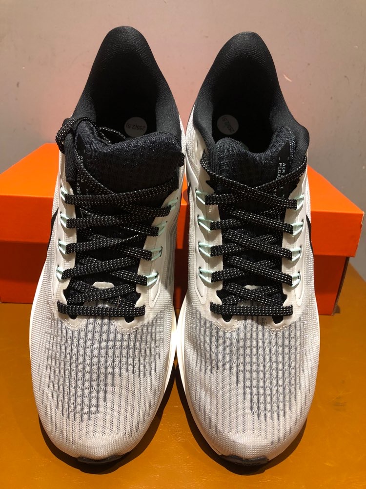 Nike Air Zoom Pegasus 39 Phantom Sail review Ashley 04