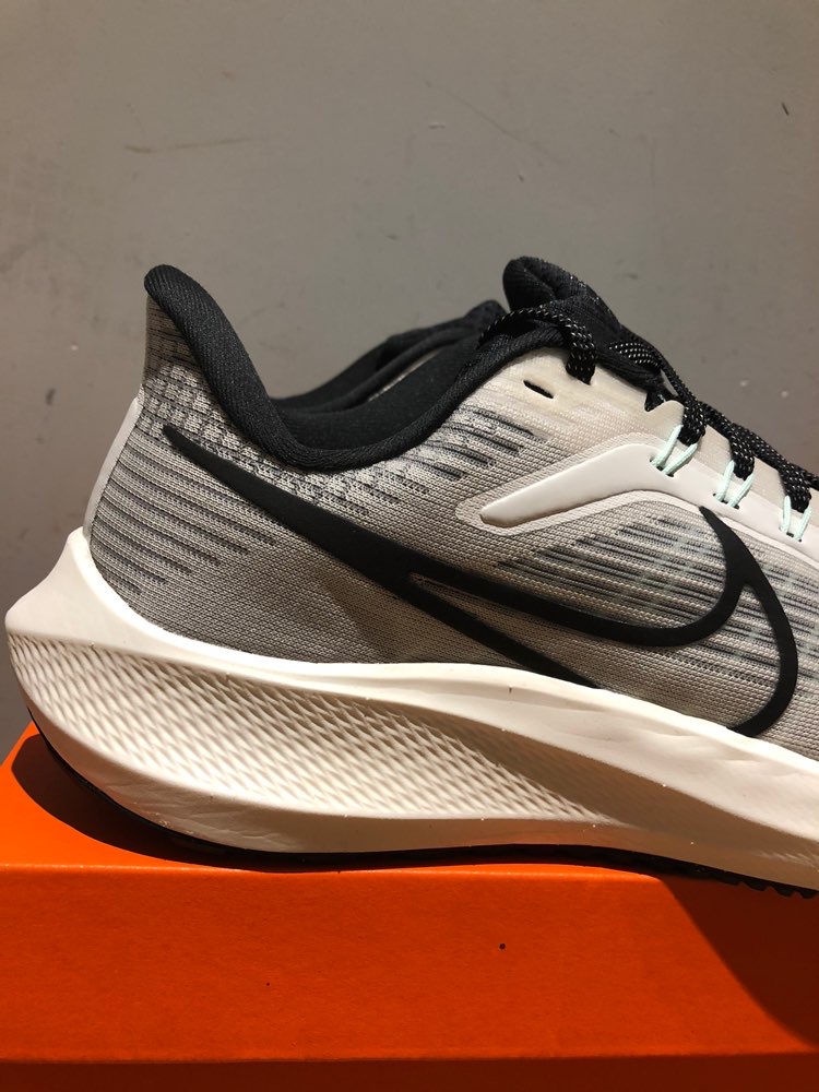 Nike Air Zoom Pegasus 39 Phantom Sail review Ashley 05
