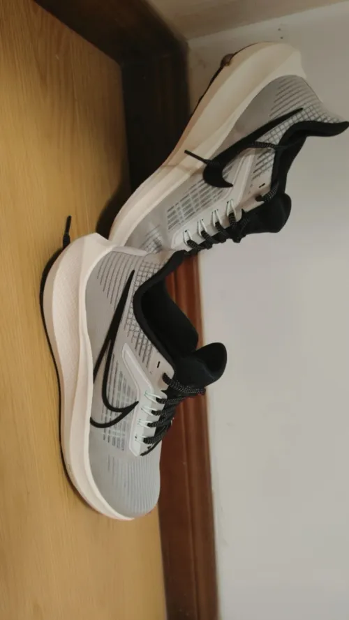 Nike Air Zoom Pegasus 39 Phantom Sail review 