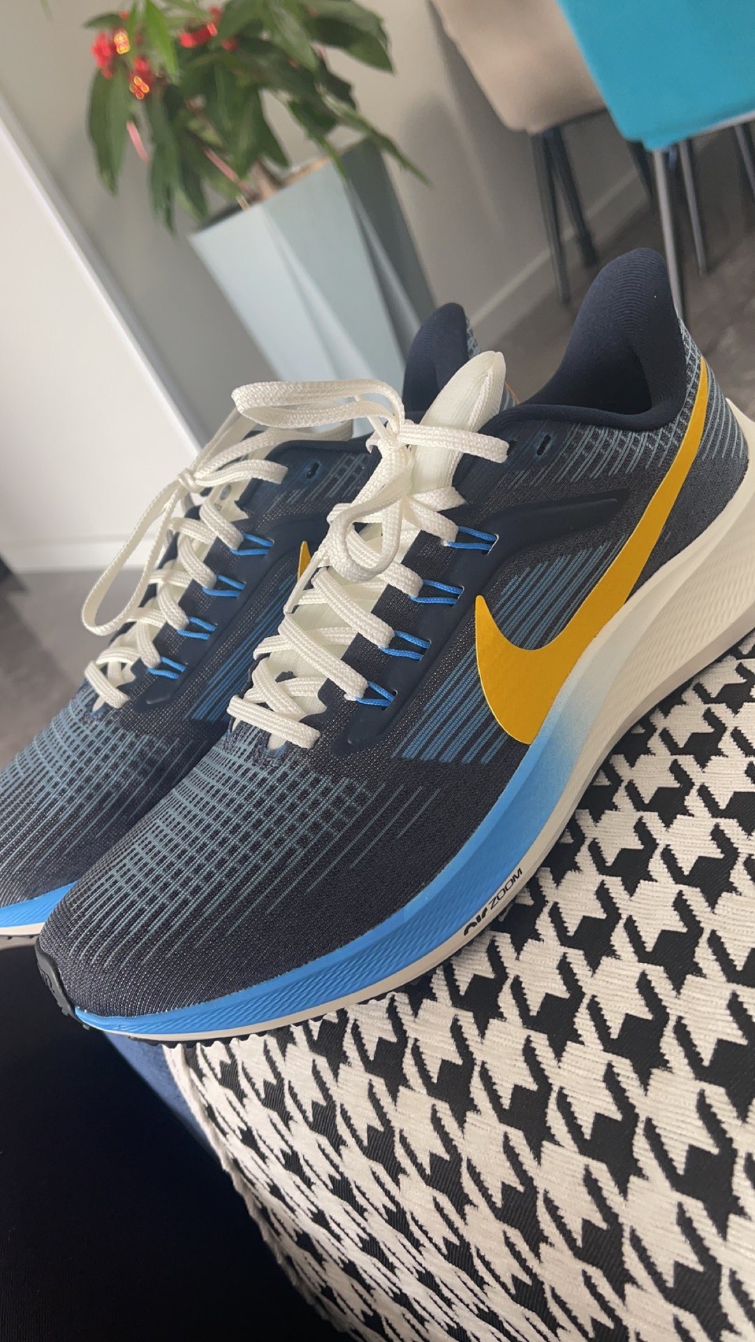 Nike Air Zoom Pegasus 39 Obsidian Yellow review Evan