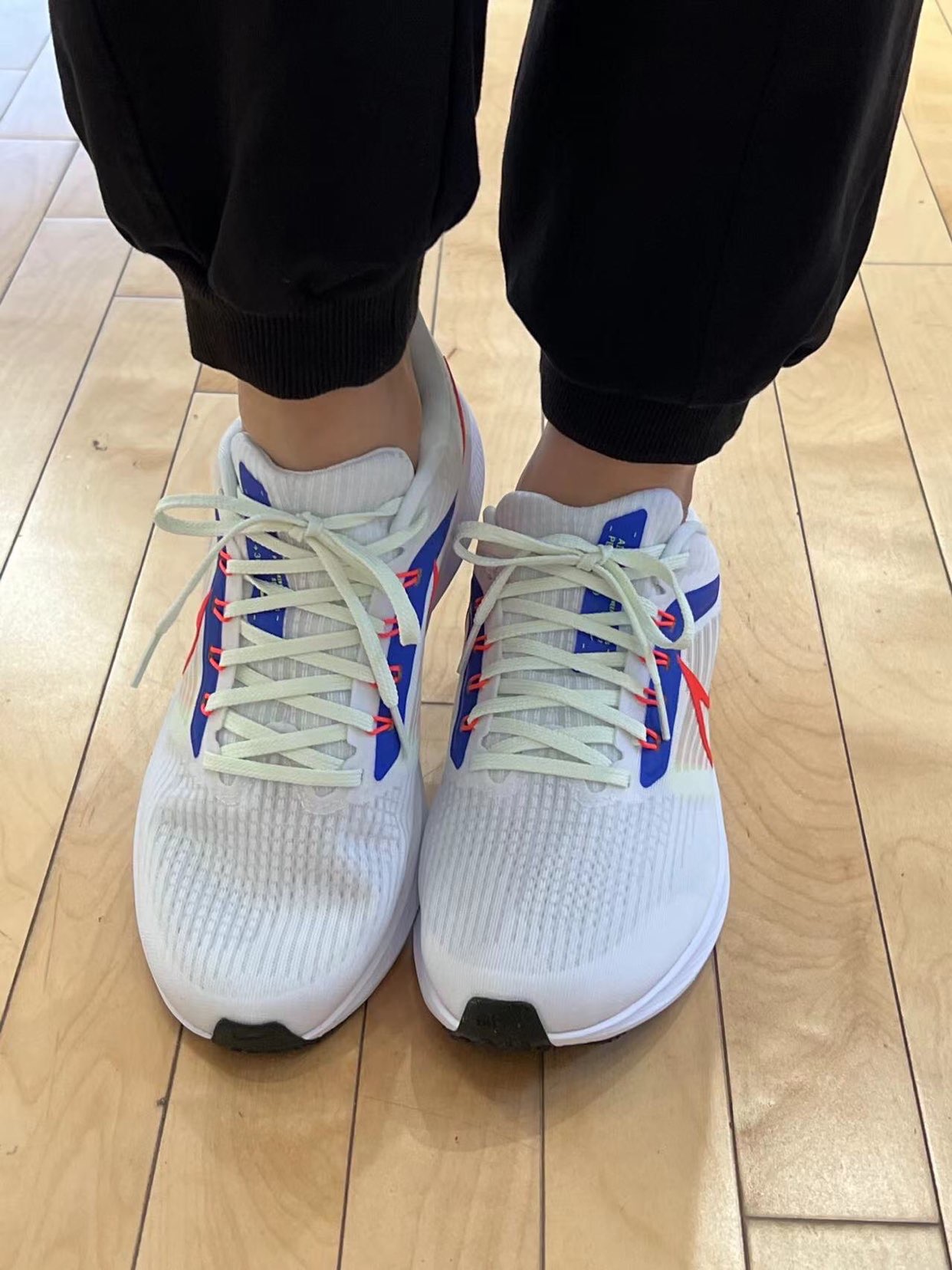 Nike Air Zoom Pegasus 39 White Blue Red-7 review Thomas 02