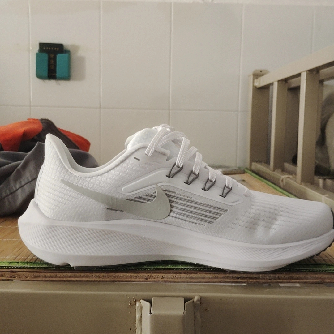 Nike Air Zoom Pegasus 39 White Grey Fog review Dylan