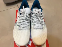 Nike Air Zoom Pegasus 39 White Blue Red review Lily 01