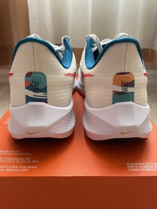 Nike Air Zoom Pegasus 39 White Blue Red review 