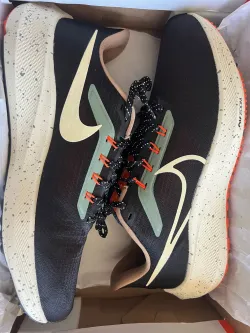 Nike Air Zoom Pegasus 39 Black White Orange review Ryan