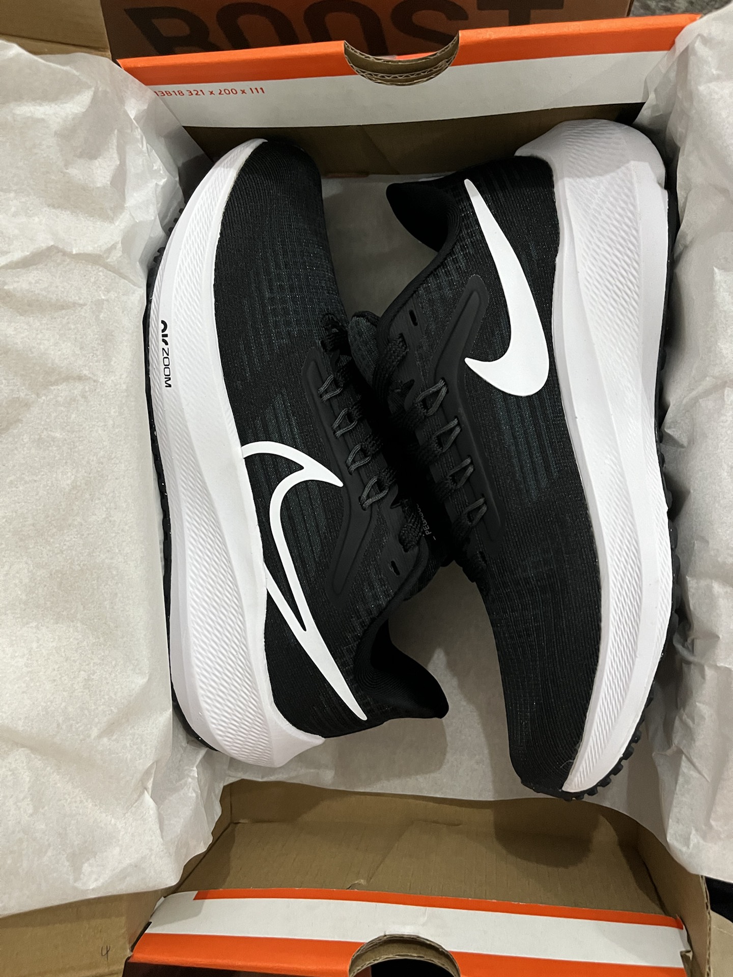 Nike Air Zoom Pegasus 39 Black Dark Smoke Grey review Brandon 01